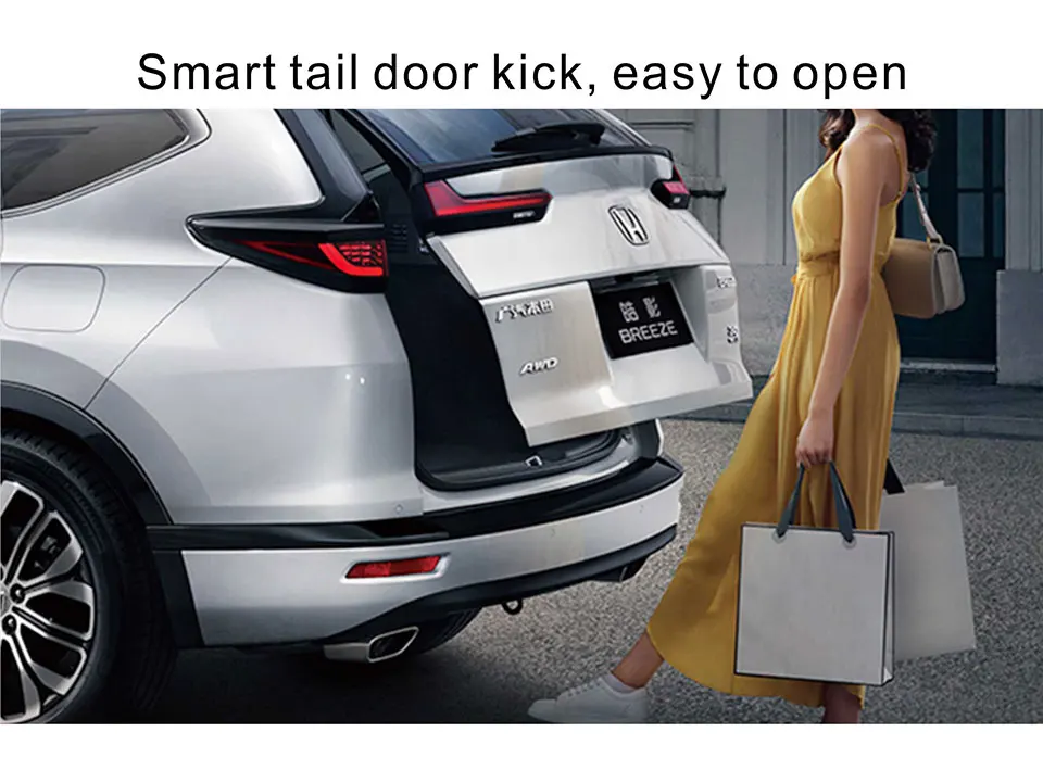 Factory Sonls Back Door Automatic Trunk Opener Electric Tailgate Ds433