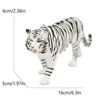 4125b tigre bianca siberiana-673g