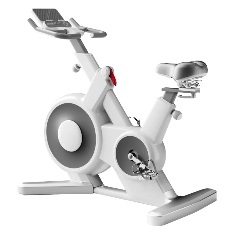 giant spin bike