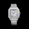 STEEL-SILVER Color dial
