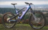 Camaleonte A Frame