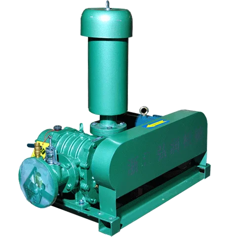 Roots Blower, FUTI, TWO, BLADES, HORIZONTAL - detail 28