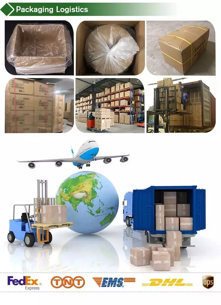 Plastic Poly Bags Transparent Zip Sachets With Resealable Zipper Clear