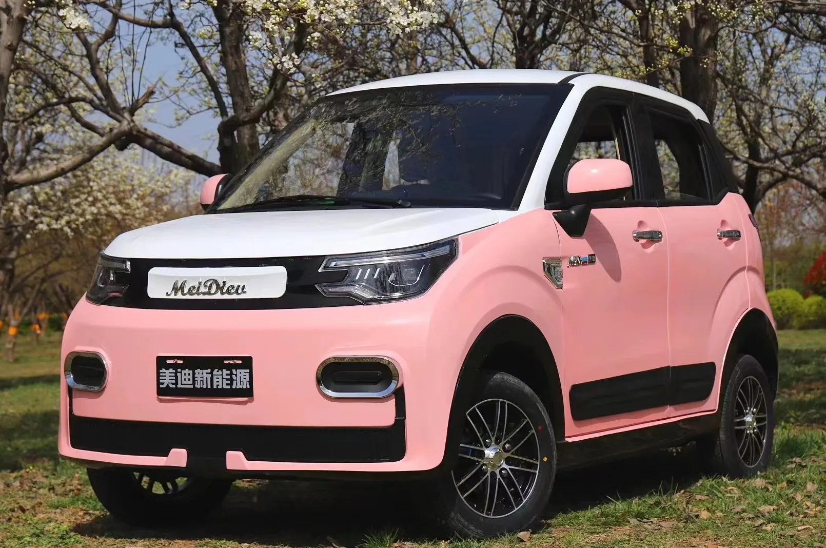 China Factory Modern Design Car With Low Price High Quality Electric