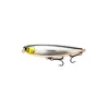 Silver Shiner