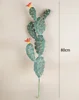 80 cm