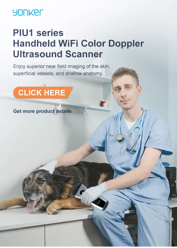 View of Yonker Pocket Veterinary Ultrasound Scanner - Portable & Wifi