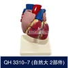 QH 3304-7 Natural Grande 2 Componentes