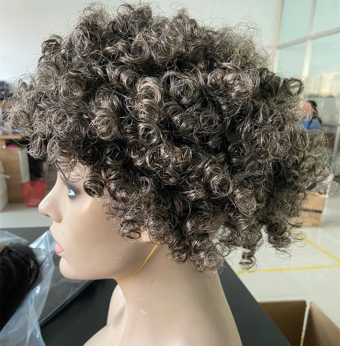 Salt And Pepper Natural Grey Afro Kinky Curly Human Hair Wig Short Non ...