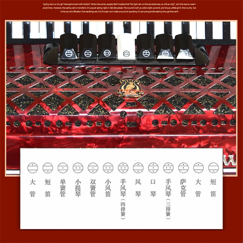 YW871 Parrot 37鍵96バスキーボードアコーディオン（黒、赤、青など）