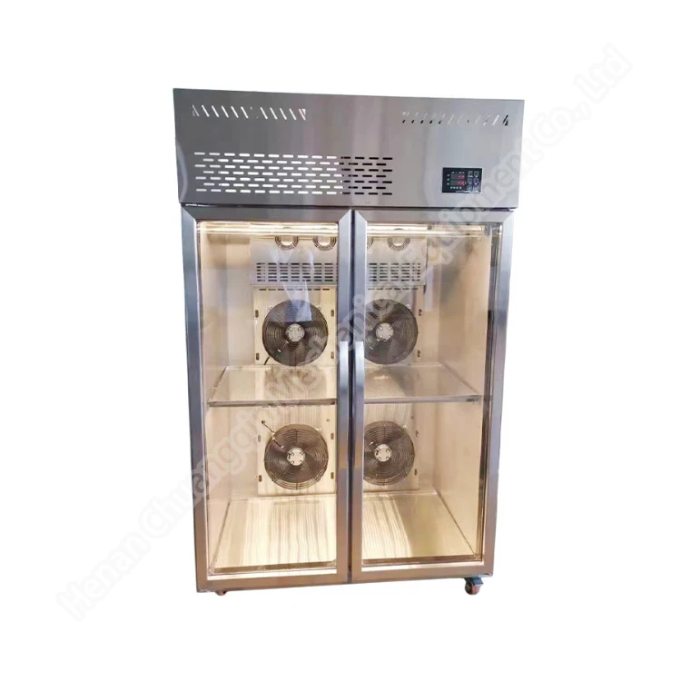 Thawing Equipment, 220V-240V, Stainless Steel - detail 4
