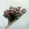 Rosa claro