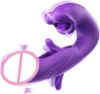 Viola