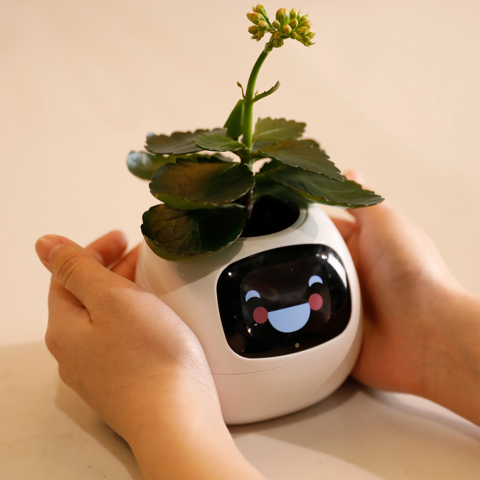 plant pots resin Resin Pot – Everplant main image 0