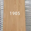 1905