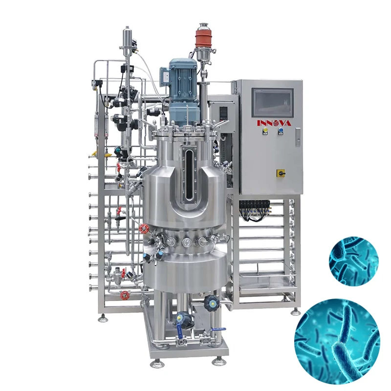Spirulina Cultivation Pipeline Photobioreactor Temporary Immersion Bioreactor