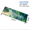 Tropical rainforest 01-30100cm