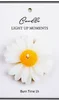 Chamomile White