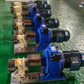 Micro 5 Cubic Lobe Pump DN40 3KW Small Rotating Cam for Hygiene for Tomato Sauce Lubrication Rotor Milk