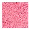 Rosa 02
