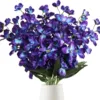 Orquídea púrpura