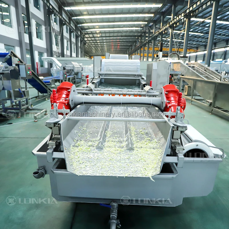 LONKIA Industrial Sugar Beet Processing Line Lettuce Vegetables Salad ...