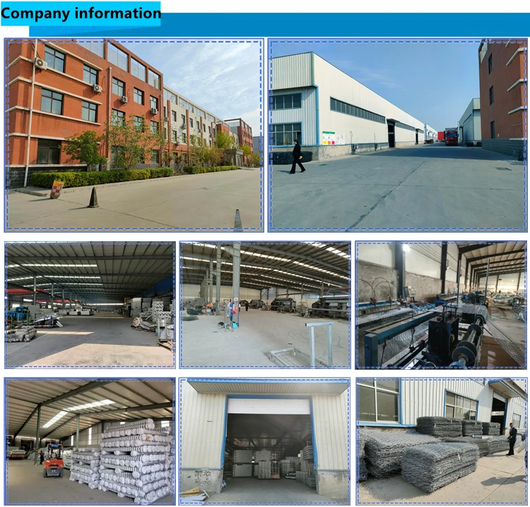 company 32__.jpg