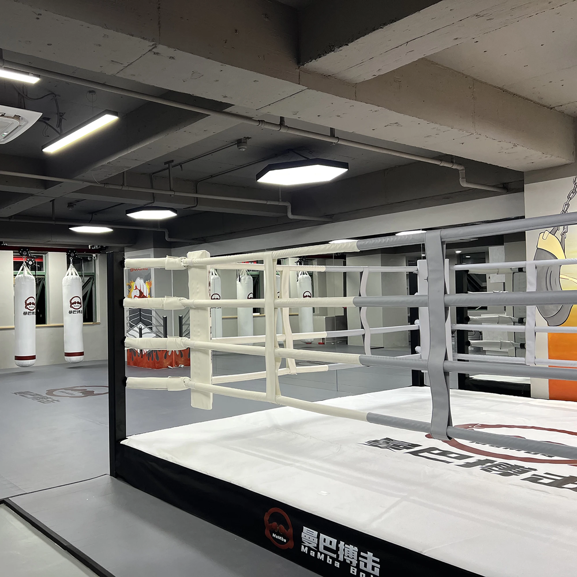 Boxing Wrestling Ring for Action Figures Full Size Wrestling Rings for Sale