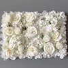 ivory white