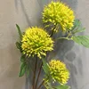 Giallo