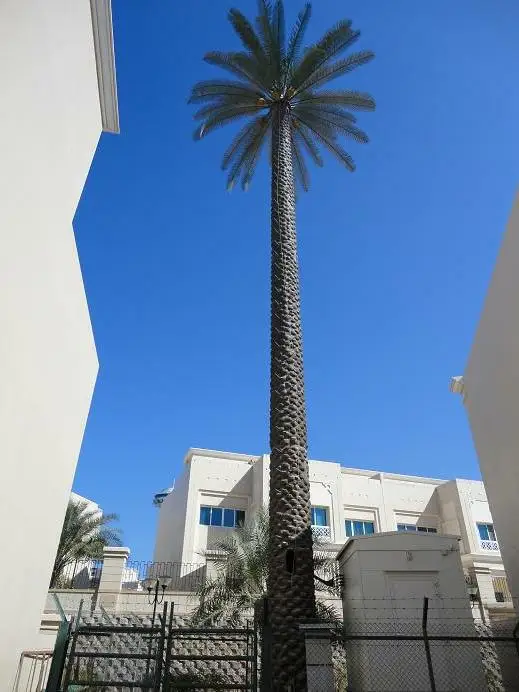 30m Date Palm Tree Monopole for Etisalat UAE