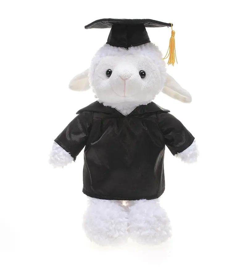 Personalized Text Graduation Sheep Kiwi Owl Stuffed Animal Plush Toys Super Soft Sitting Rooster Teddy Bear Graduation Plush Toy