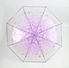 Violeta