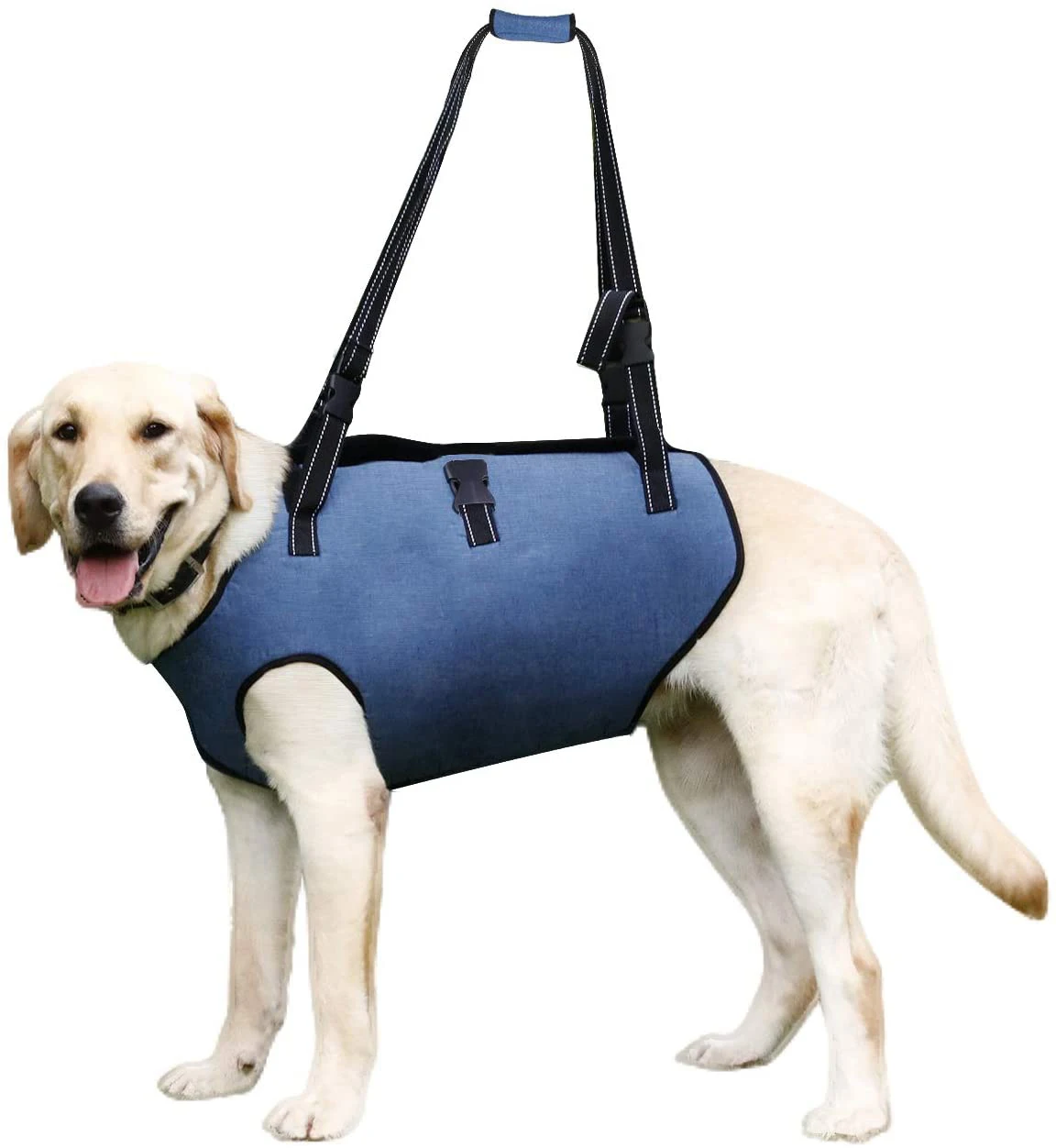 dog harness carrier