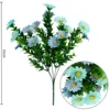 Eucalyptus, waterweed, wrinkled chrysanthemum bundle 006