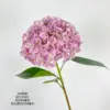 12 # rosa púrpura