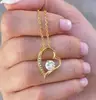JW230202-4