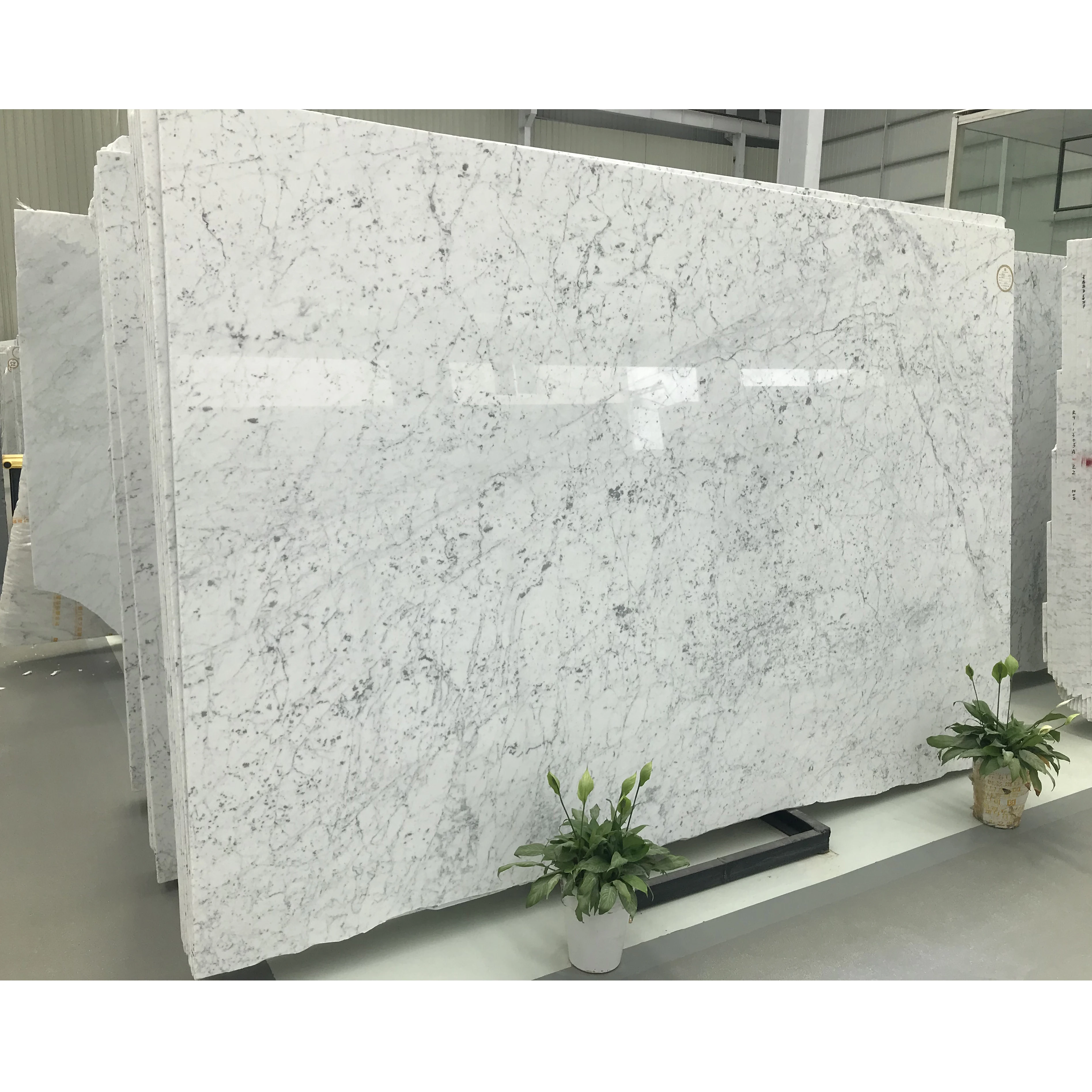 SH STONE Customized Natural Pisos De Marmol Italian Stone Italy Bianco White Carrara Marble Slabs with Good Price for Flooring