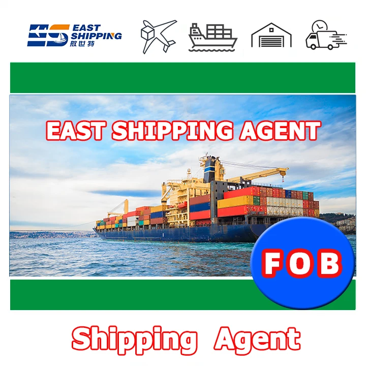 International Sea Shipping To Peru FOB Chinese Freight Forwarder Logistics Service From China Shipping To Peru