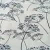 Fiore di aneto