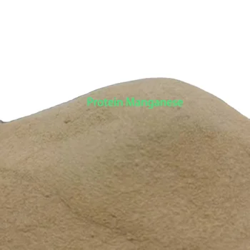 HIGH QUALITY ANIMAL FEED ADDITIVE SUPPLEMENT PROTEIN MANGANESE