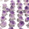 Amethyst point