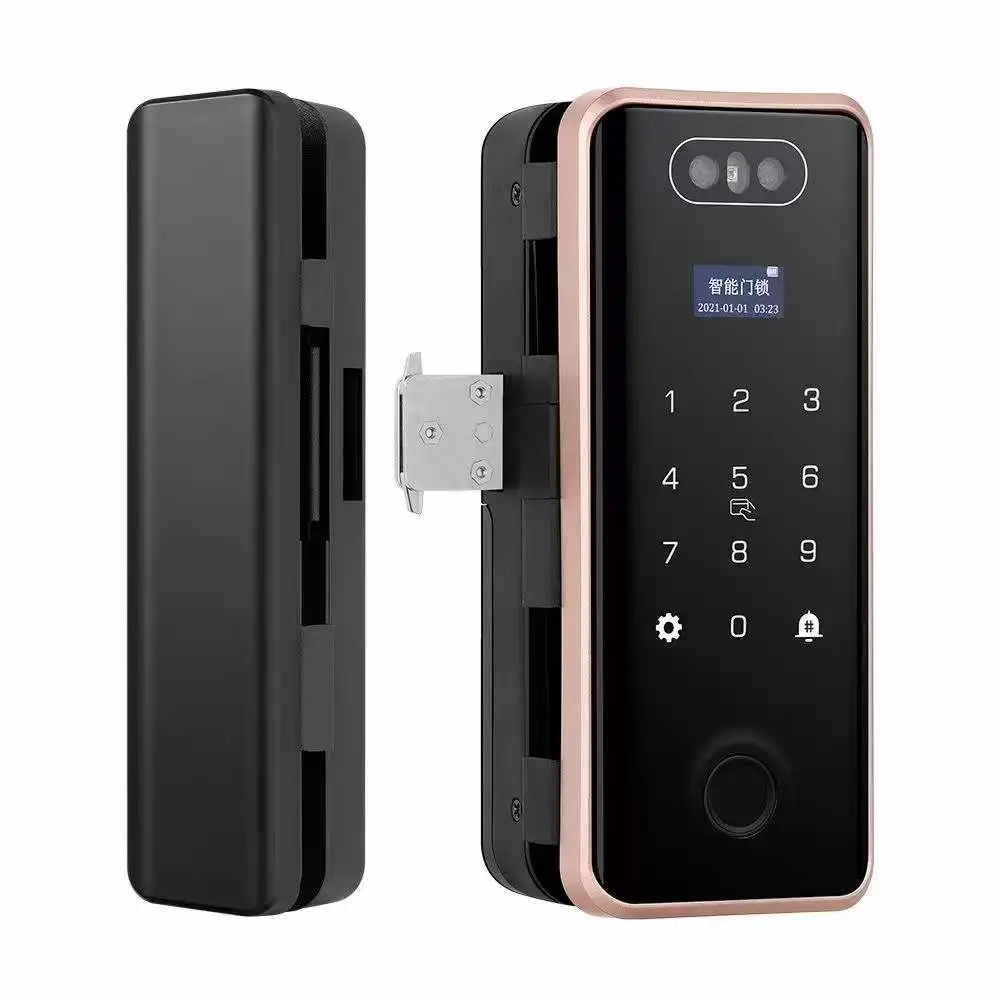 Qleung Hot Sale G5S 3D Smart Glass Door Lock Intelligent Finger Print Key  SmartLock App Face ID Password Card Lock