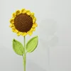 Girasole colorato