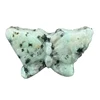kiwi fruit stone
