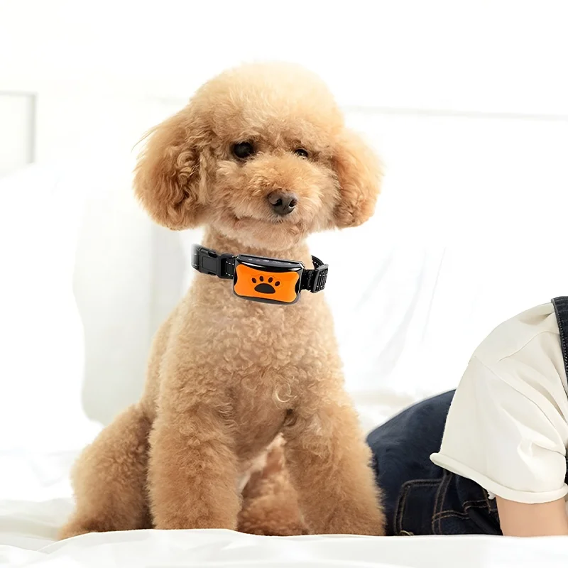 Amazon Best Selling Automatic Adjustable Vibration Rechargeable No Shock Anti Bark Collar Dog Bark Collar for Dogs