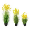 Giallo
