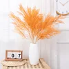 color naranja
