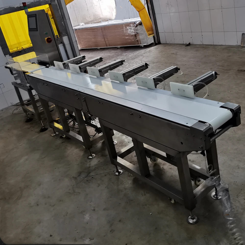 Multi Grade Weighing Sorter Weight Sorting Machine for Seafood Fish Meat Poultry
