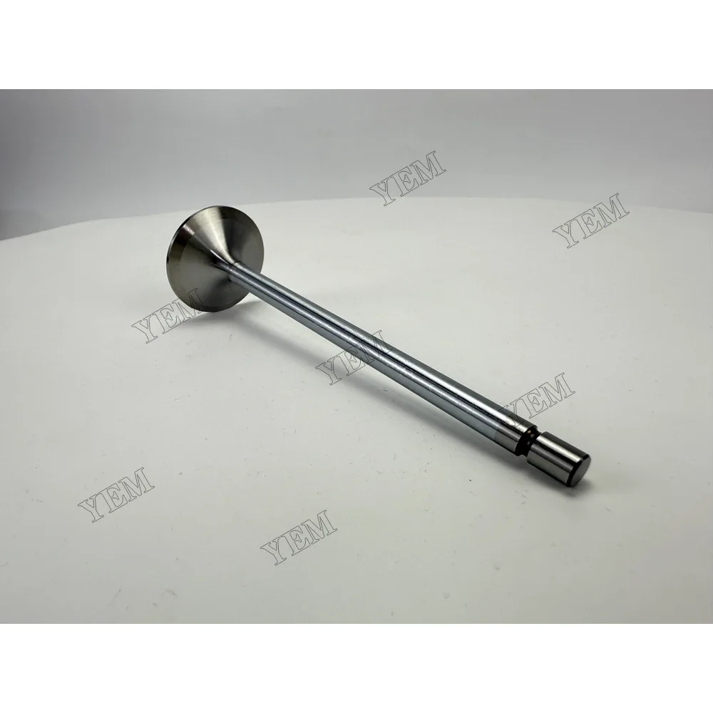 3978768 Intake Valve for Volvo TAD741GE Wholesale Engine Parts 6